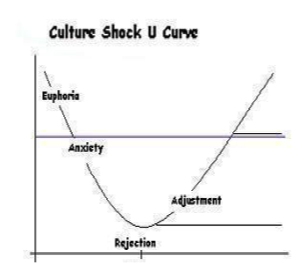 culture shock u curve